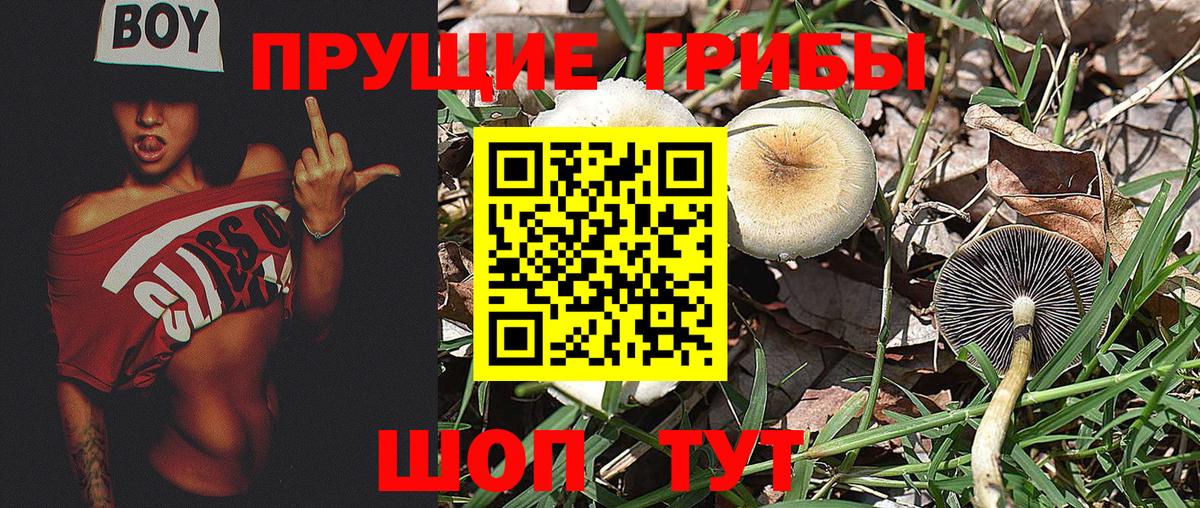 Псилоцибиновые грибы прущие грибы  Вход с VPN  где купить   Когалым 